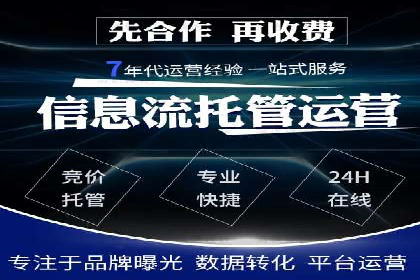 SEM主管的角色与职责：成功案例解析